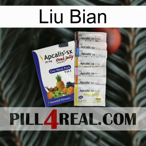 Liu Bian 11.jpg